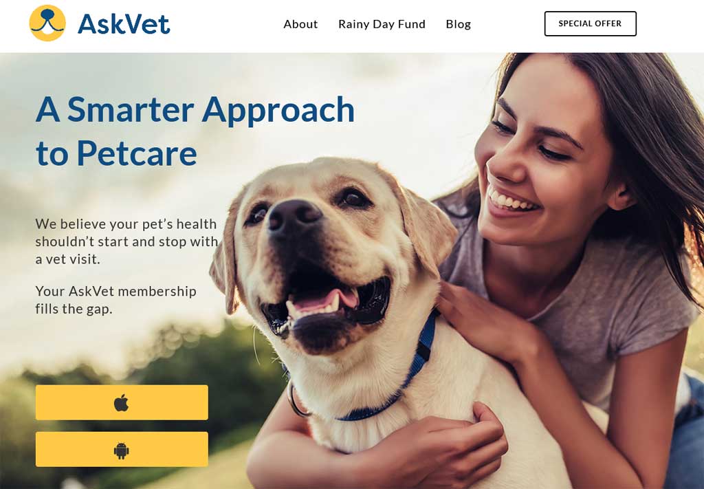 The Best Pet Health & Care Advice from Real Vets