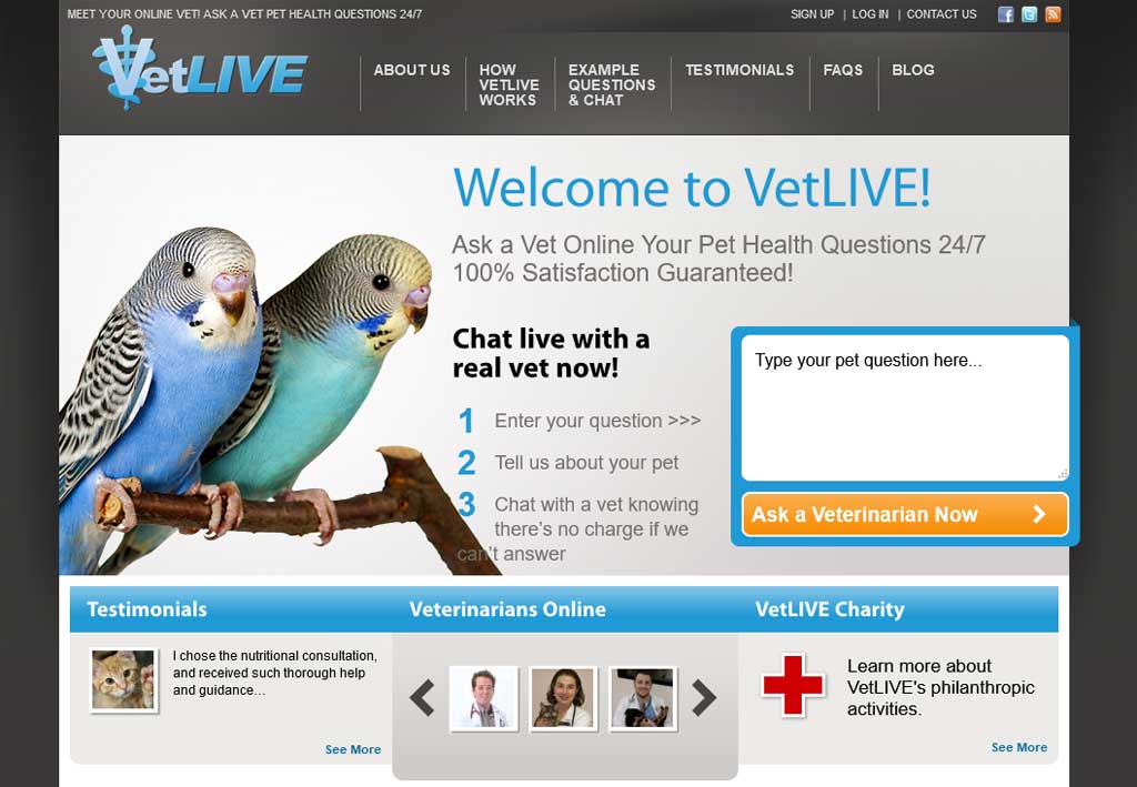Vet chat free live Connect With